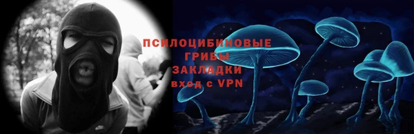сатива Алексеевка