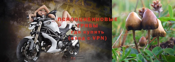героин Алзамай