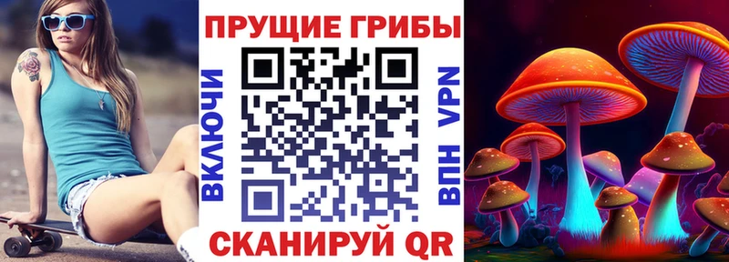 закладка  Нижнеудинск  Галлюциногенные грибы Cubensis 